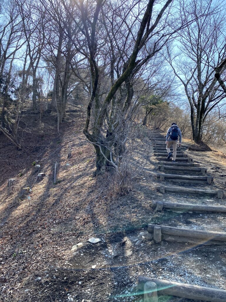 桜山公園　散策