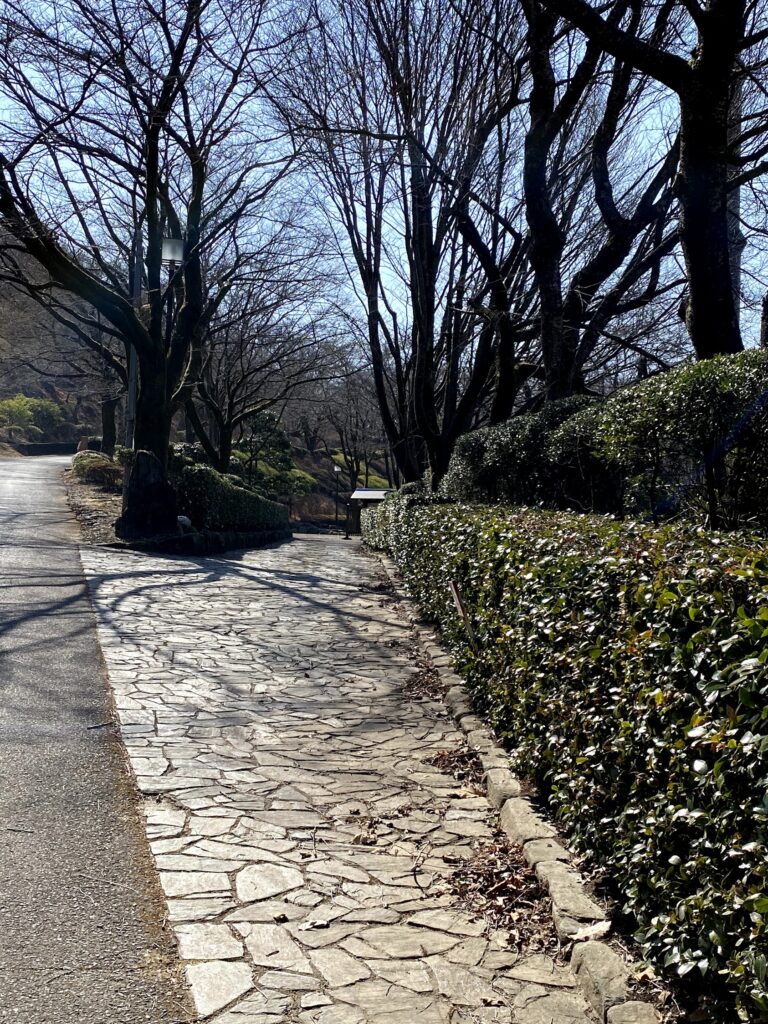 桜山公園　見本庭園