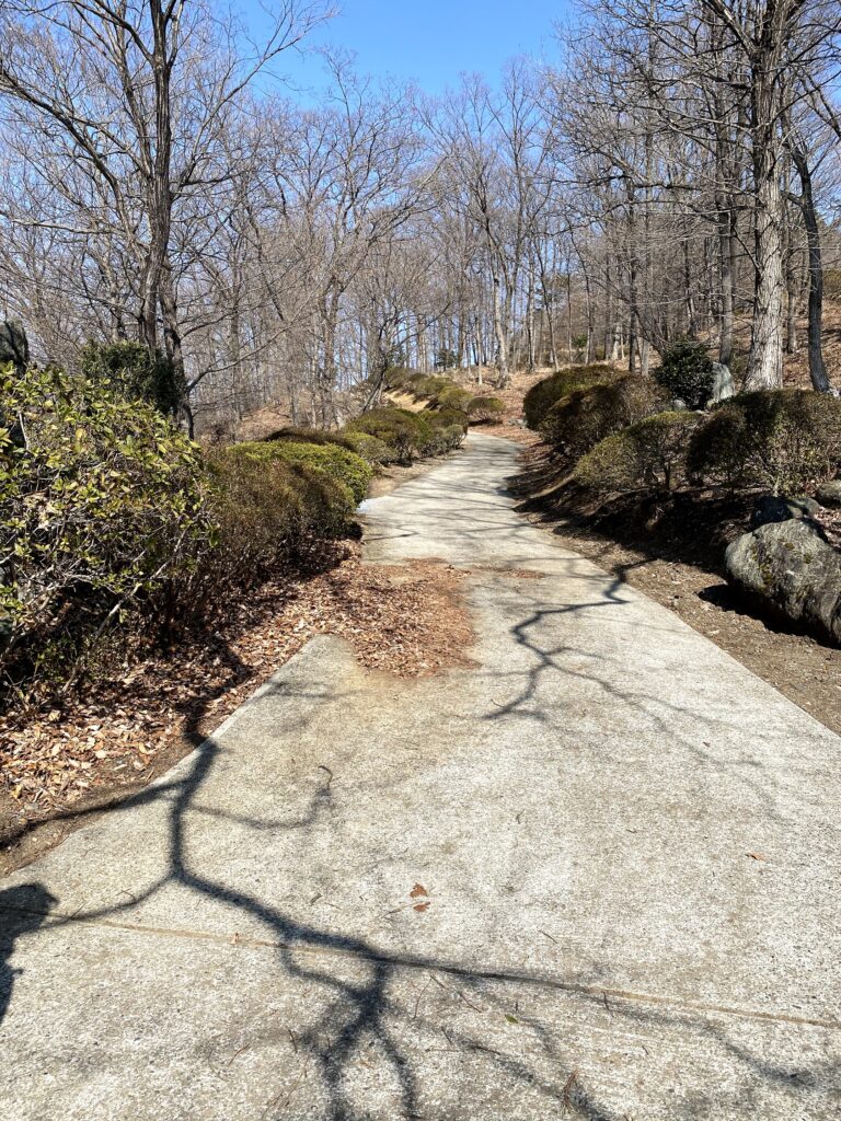 桜山公園　散策