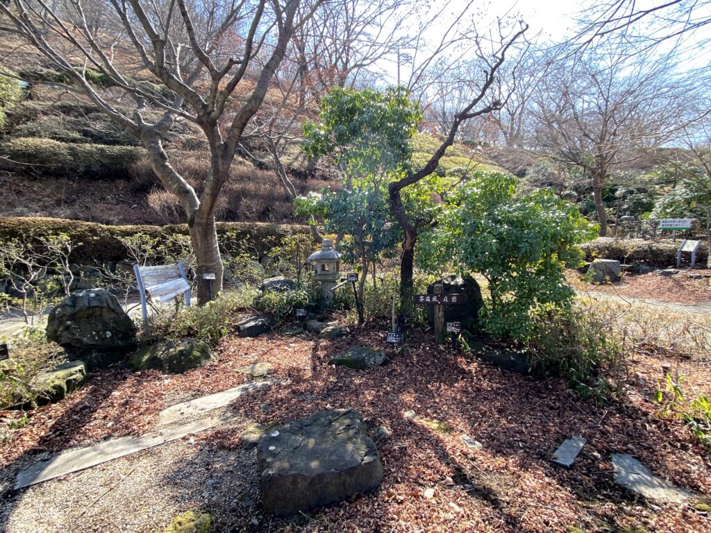 桜山公園　見本庭園