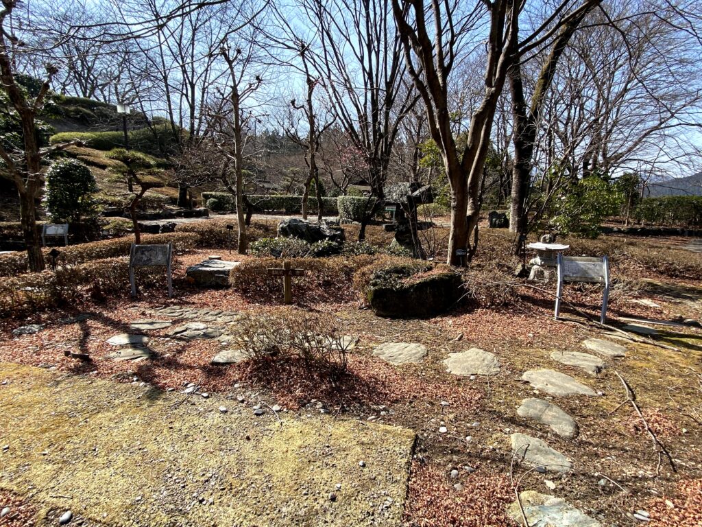 桜山公園　見本庭園