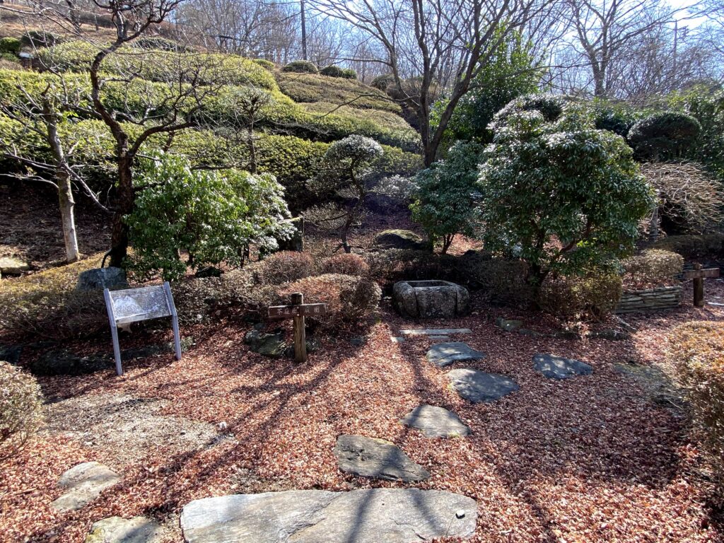 桜山公園　見本庭園