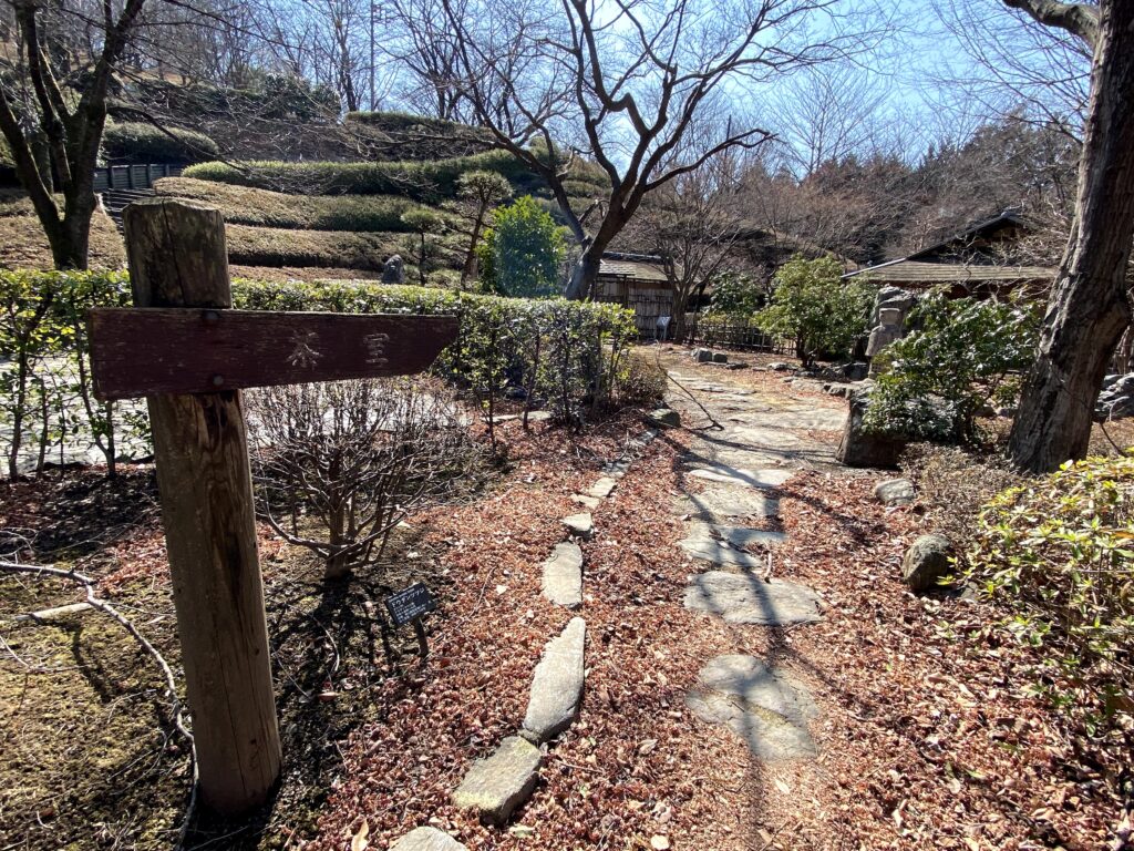 桜山公園　見本庭園