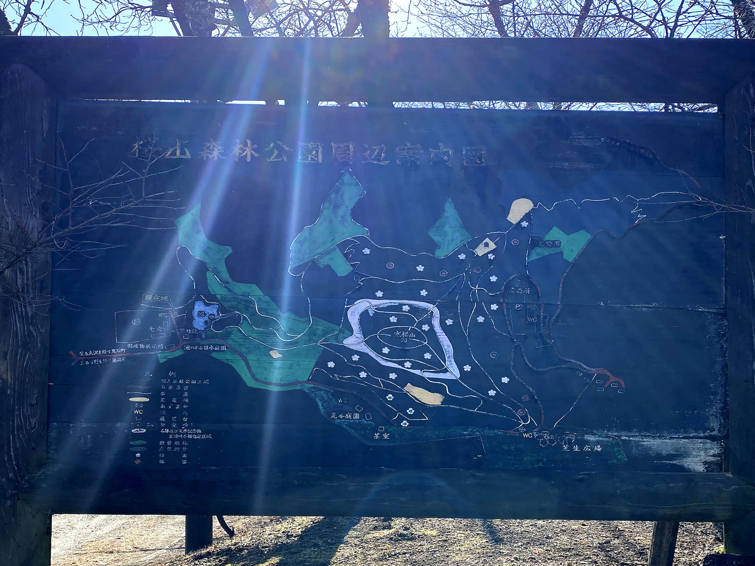 桜山公園散策コース案内図