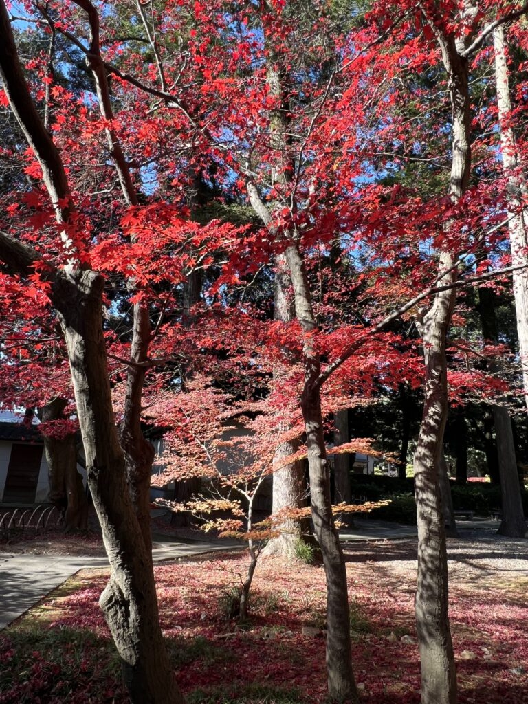 足利学校